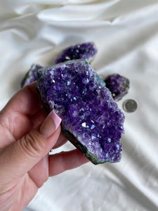 Amethyst Geode Clusters