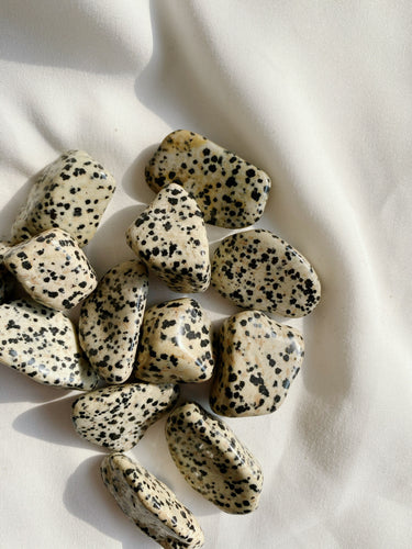 Dalmatian Jasper