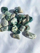 Load image into Gallery viewer, Tree Agate Tumble
