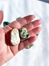 Load image into Gallery viewer, Tree Agate Tumble