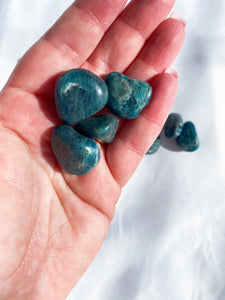 Apatite Tumble