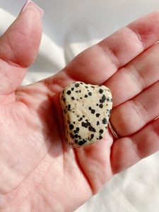 Dalmatian Jasper