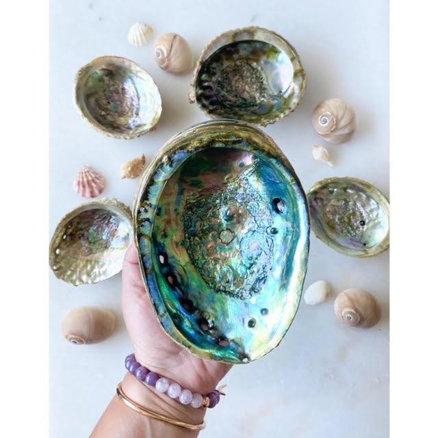 Abalone